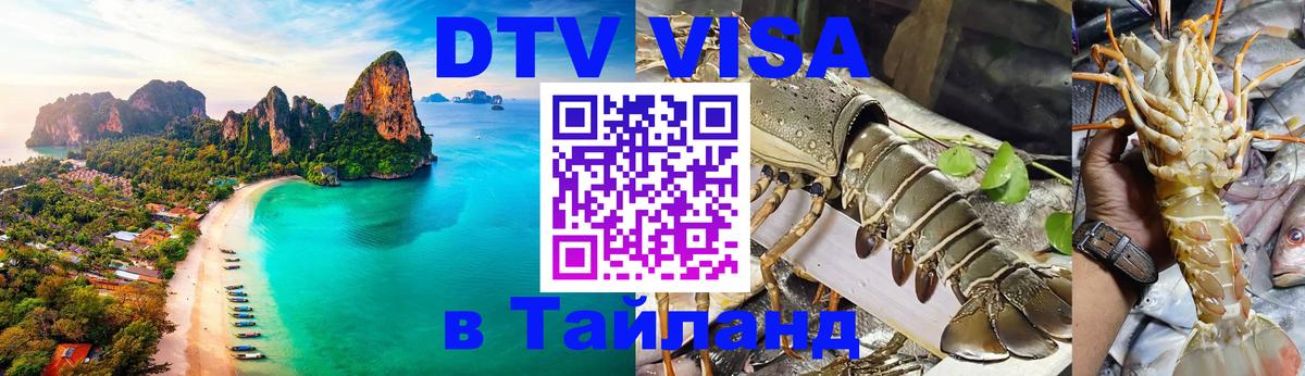 Стоимость и условия DTV визы — оформление в Таиланд под ключ - Тирана 